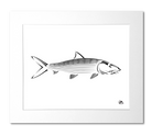Bonefish Art Print