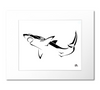 Great White Shark Art Print