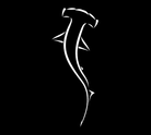 Hammerhead Car Decal - White Vinyl Shark Sticker For Window